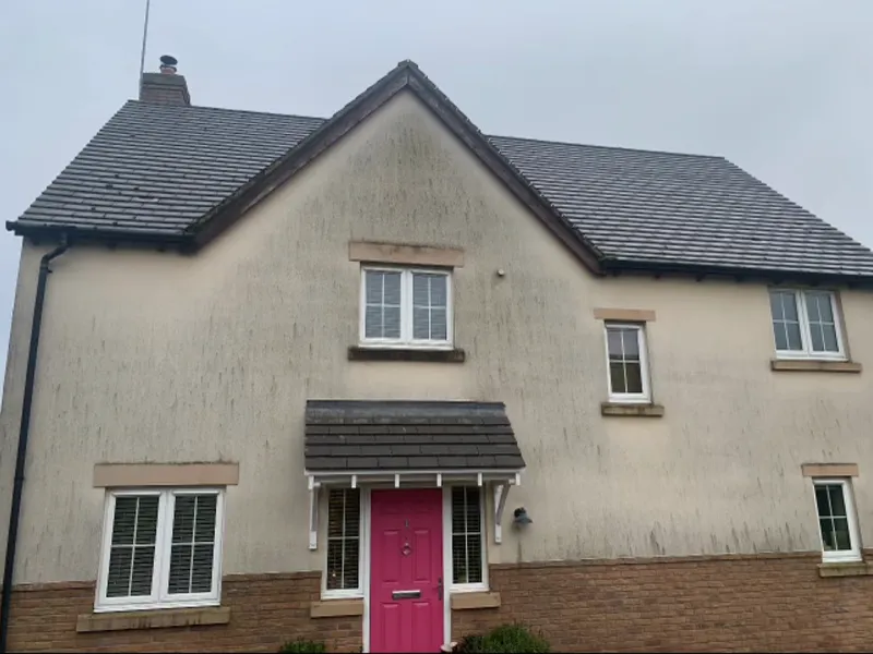 Full House Exterior Repaint - Before
