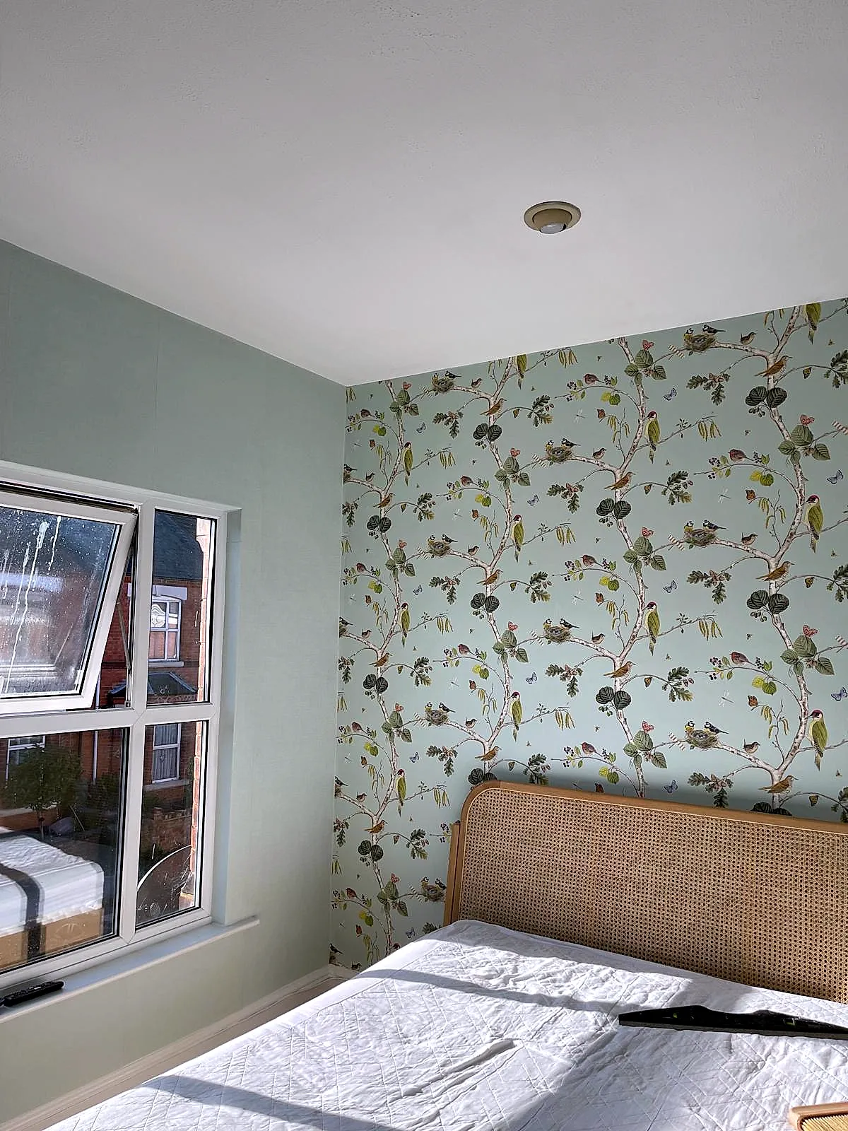 Wolverton — Botanical bird feature wall in bedroom